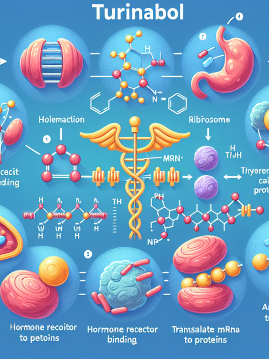 Effektive Steigerung der Proteinbiosynthese: Wie Turinabol dabei hilft